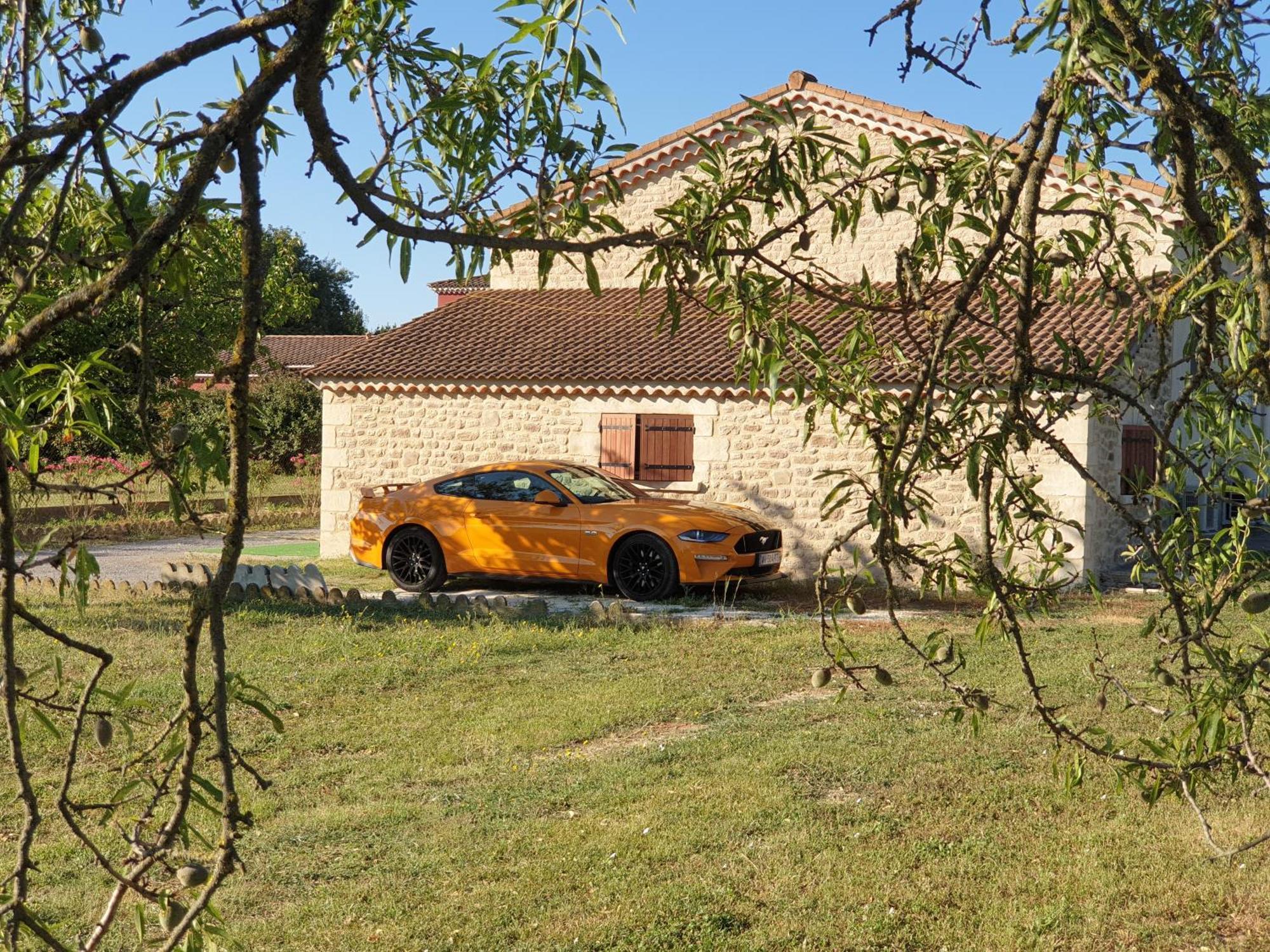 Gite Et Piscine L'Ecrin Aux Oliviers En Cevennes Saint-Christol-les-Ales Екстер'єр фото